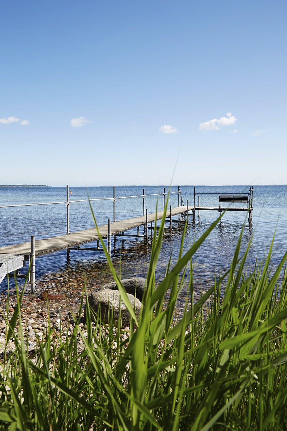 chilidegnbom220745 Badebro